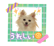 837208915