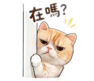 837212236