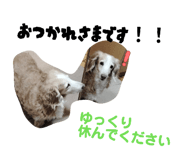 837215484