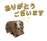 837215487
