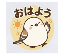 837216148