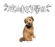 837216810