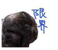 837222549