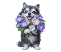 837223473