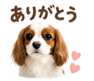 837223603