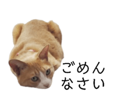 837226363