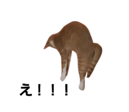837226368