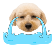 837227242