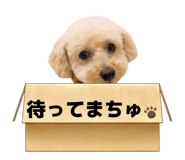 837227243