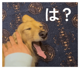 837227279