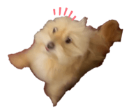 837231863