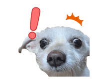 837231864