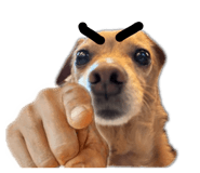 837231872