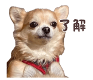 837231981