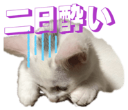 837232263
