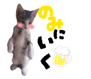 837232264