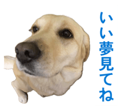 837232433