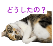 837232434