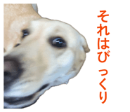 837232435
