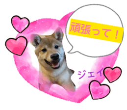 837233050