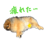 837233184