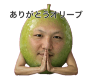 837233553