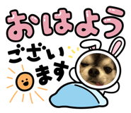 837236465