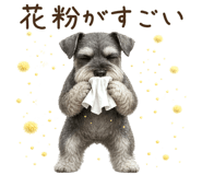 837237256