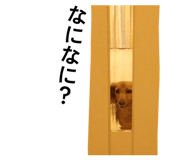 837237319