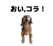 837237320