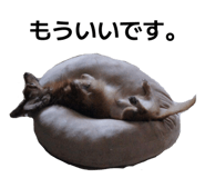 837237331
