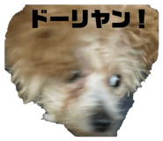 837237643