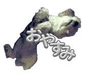 837251307