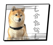 837251308