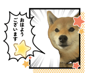837251312