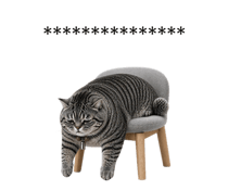 837265442