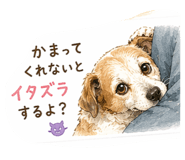 837266202