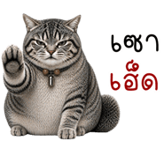 837272578