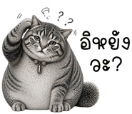 837272584