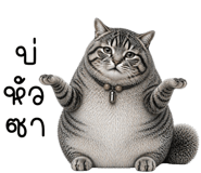 837272585