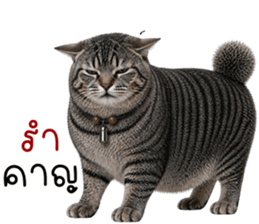 น้องแมวสลิด เซเลบ รูปที่ 4