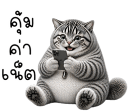 น้องแมวสลิด เซเลบ รูปที่ 34