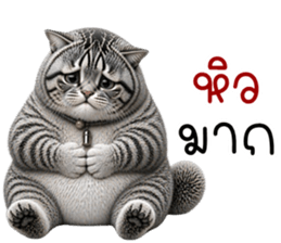 น้องแมวสลิด เซเลบ รูปที่ 39