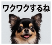 837274706