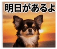 837274710