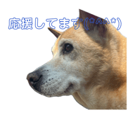 837274748