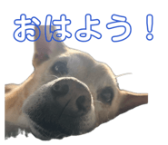 837274751