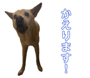 837274757
