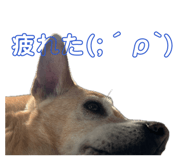 837274759