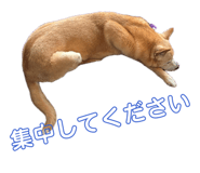 837274768